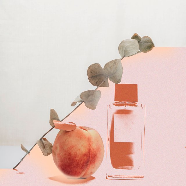 Как пахнет интимность. Встречайте аромат Peach Fuzz в честь цвета года Pantone