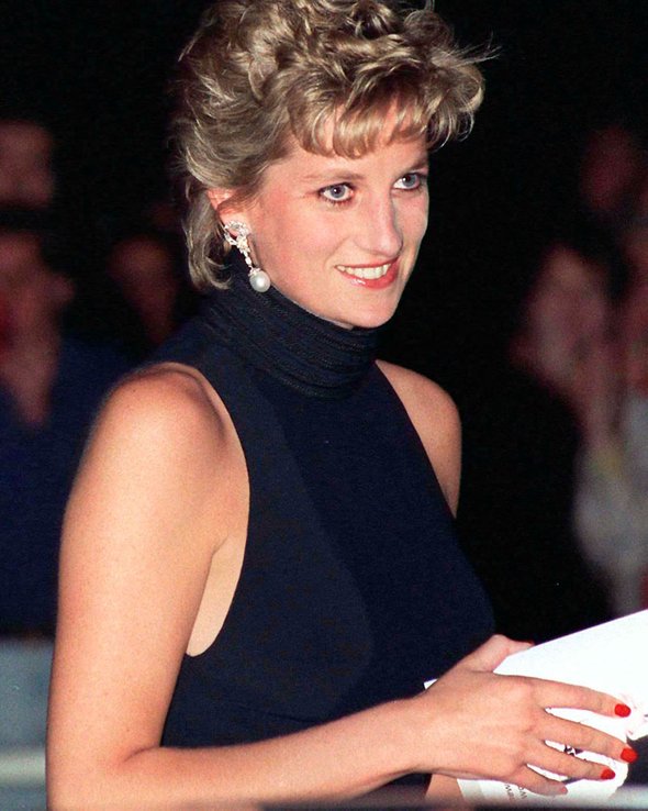 Принцесса Диана, 1995