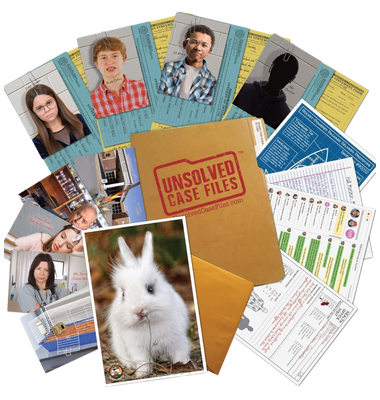 Honey The Bunny. A Family-Friendly Mystery Case to Solve