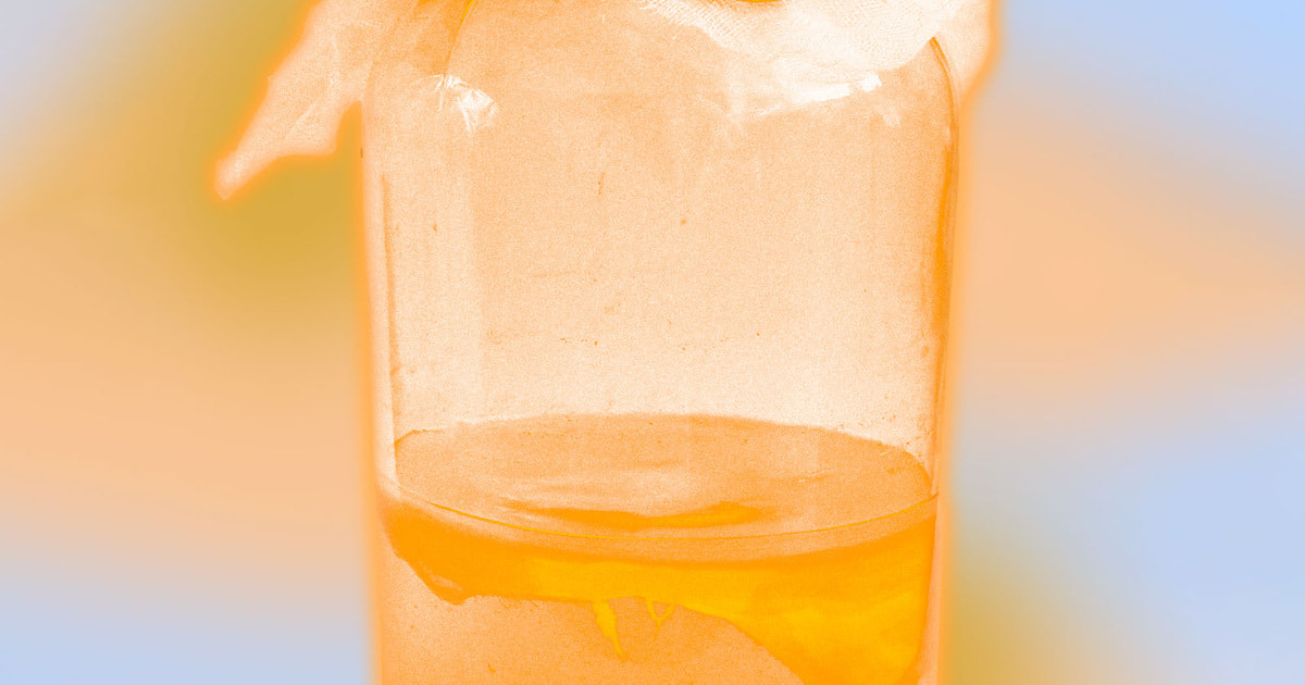 Способен ли чайный гриб улучшить цвет лица? Разбираемся с врачом | Flacon